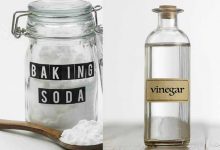 How to unclog toilet with baking soda and vinegar