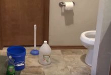 How to unclog toilet with dish soap and water