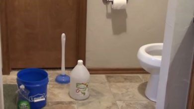 Photo of How to Unclog a Toilet with Dish Soap and Hot Water