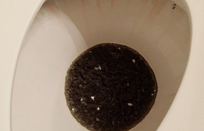 Dealing with Black mold toilet bowl