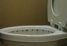 toilet bowl under rim cleaning: black stuff, ring and stains