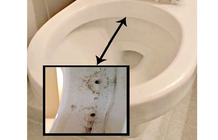 Picture of toilet siphon jets location
