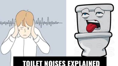 Toilet making noise