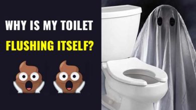 Toilet Flushing on its own-causes and solutions