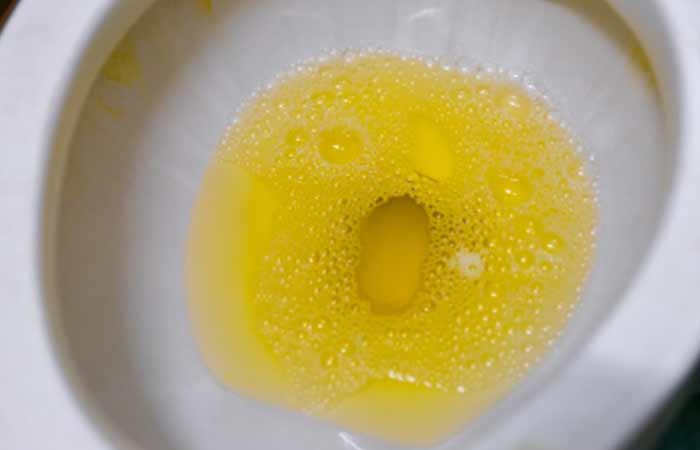 Toilet Bowl with Urine