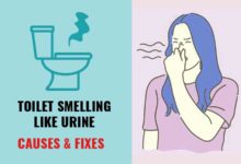 Urine smell in toilet, causes and how to ge rid
