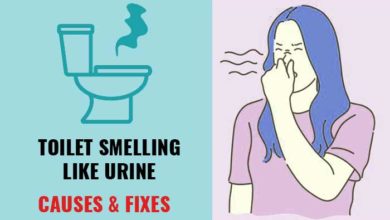 Photo of Why Does My Toilet Smell like Urine?