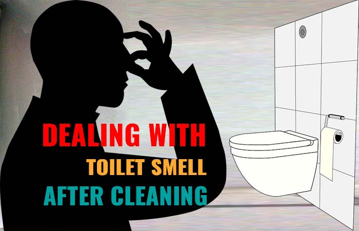 Toilet Smells Even After Cleaning Causes Fi Toiletseek - Why Does My Bathroom Stink After I Clean It