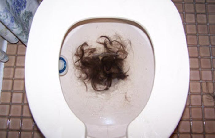 Hair in toilet bowl