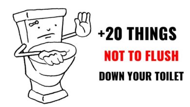 Things you should not flush down the toilet