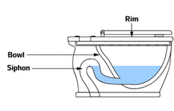Toilet Siphon Diagram