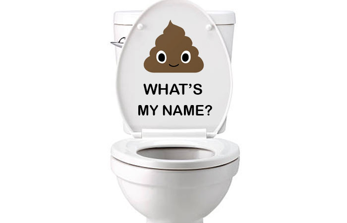 Toilet Names Funny Nicknames Terms In Diffe Ages Toiletseek - Lavatory Another Word For Bathroom Floor
