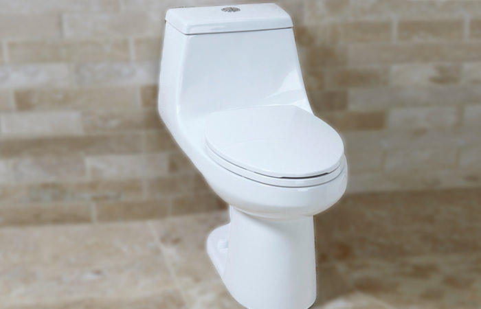 Glacier Bay Dual flush toilet