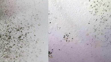 Black spots bathroom ceiling causes and removal