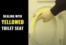 Dealing with a yellowed seat & cover